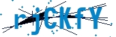 recaptcha