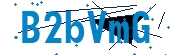 recaptcha