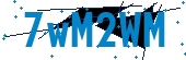 recaptcha