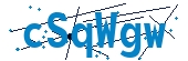 recaptcha